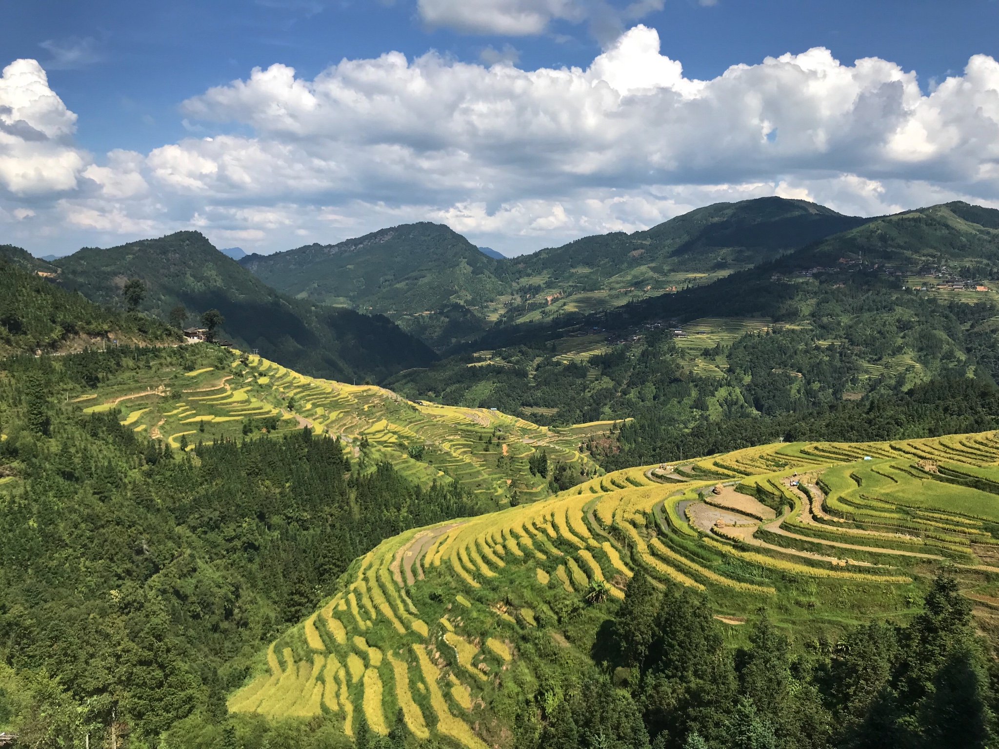 多彩贵州——黔南黔东南大环线9日自驾风景美食游记(黄果树,大小七孔