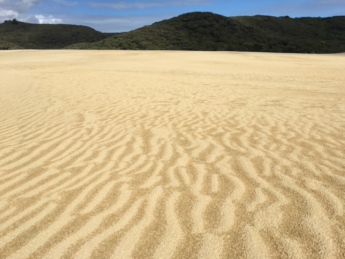 cape reinga雷恩加角