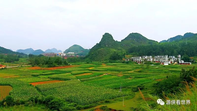 于是沿着公路往壬庄乡方向,在距离壬庄乡2公里处,再折返往靖西市区走