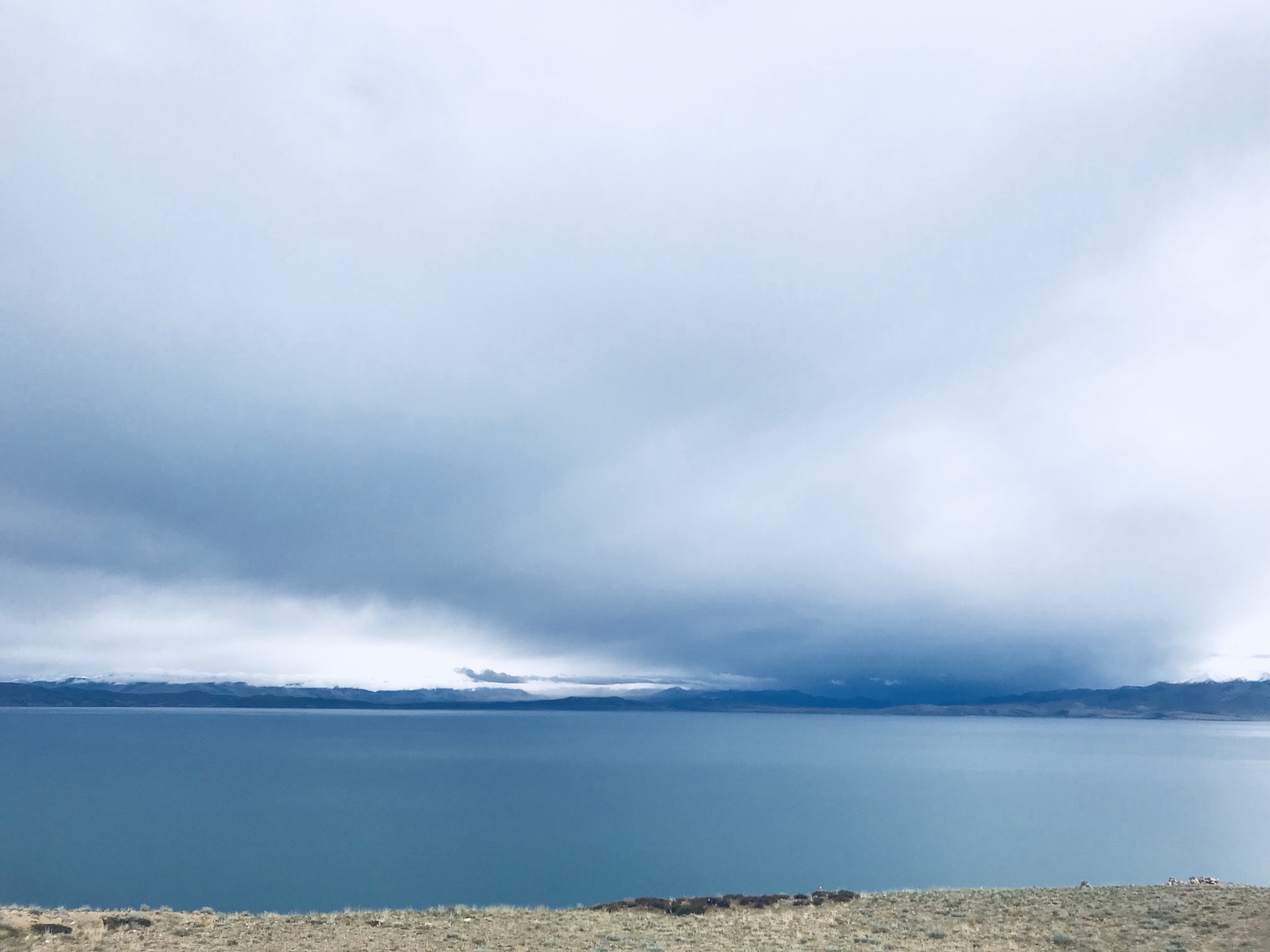 wKgED1vb_BaAVXiNAASdT9EFRE477.jpeg?imageView2%2F2%2Fw%2F600%2Fh%2F600%2Fq%2F90