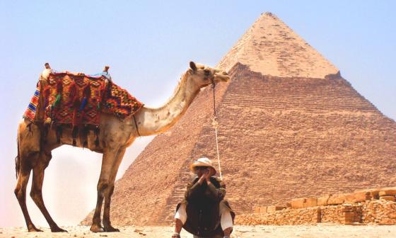 你们几月去的埃及