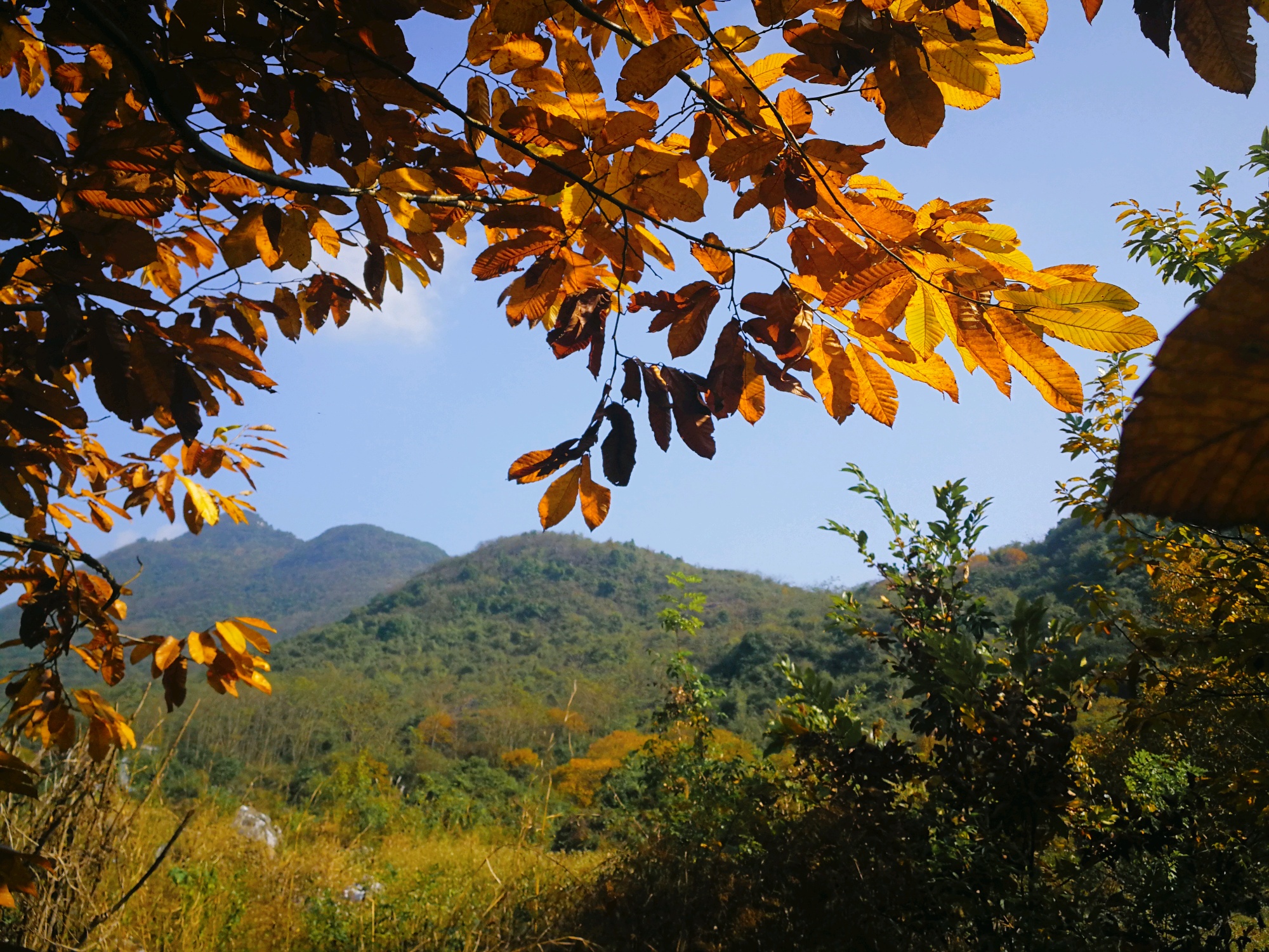 贤令山