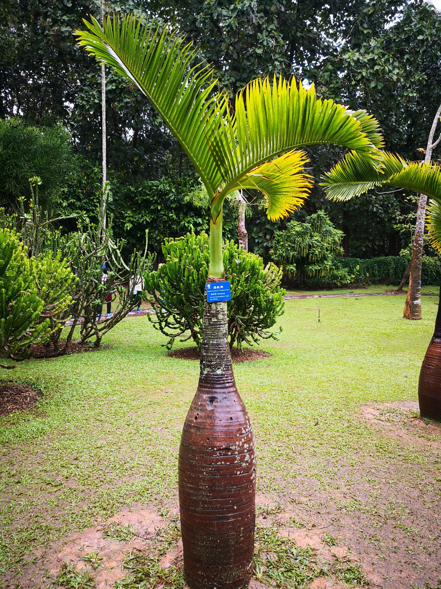 wKgED1woONSAM7vSABgANEcYFIQ33.jpeg?imageView2%2F2%2Fw%2F600%2Fh%2F600%2Fq%2F90