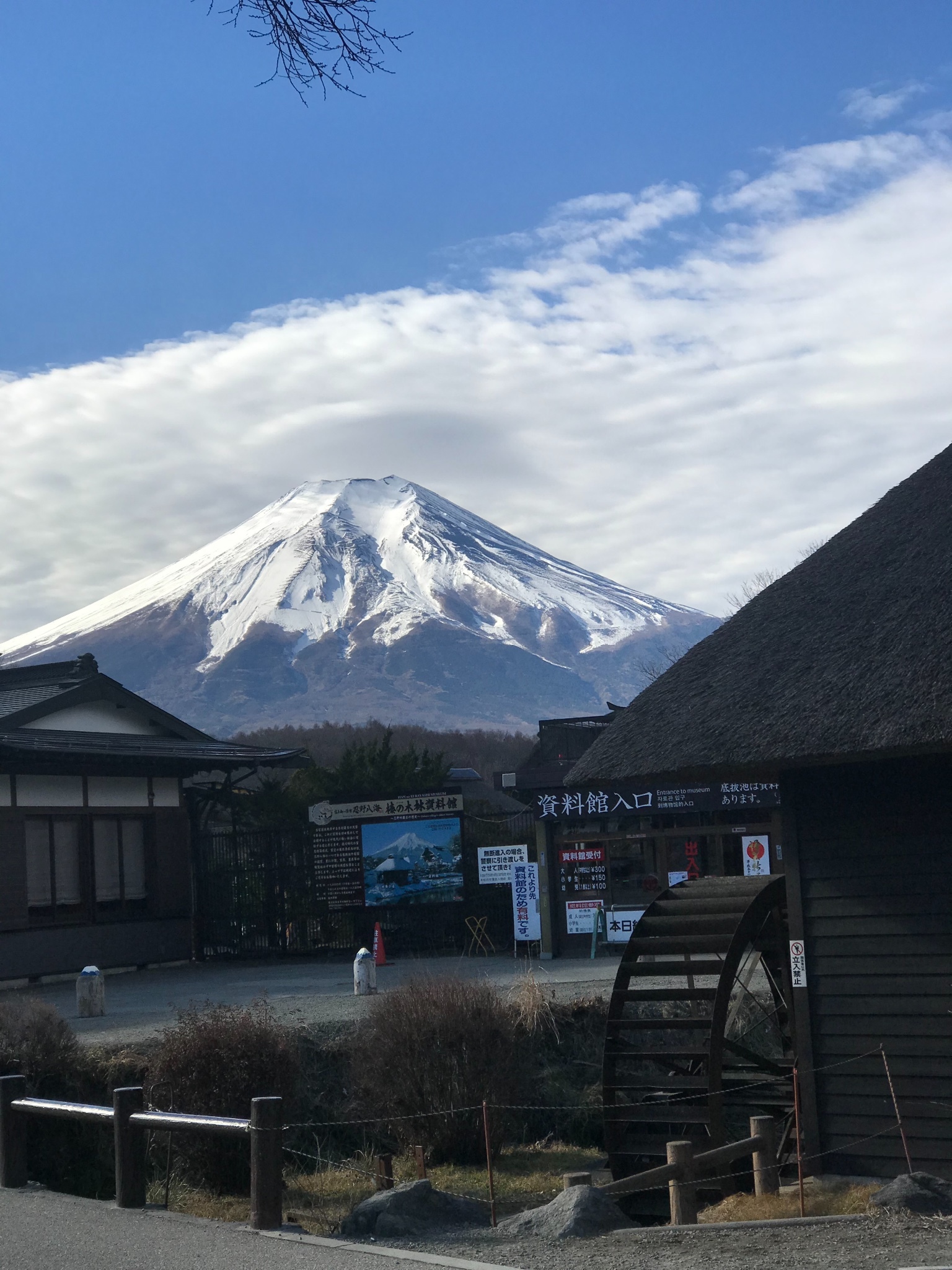 富士山-奥莱一日游