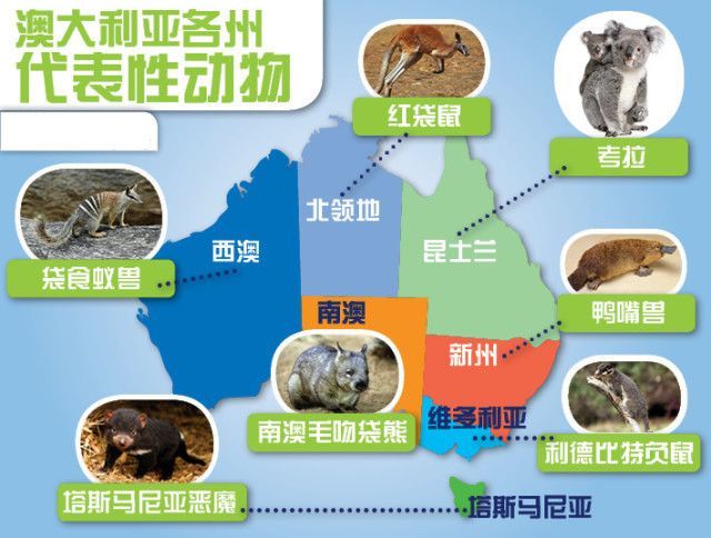 澳洲动物大致分布图-图片来源于网络