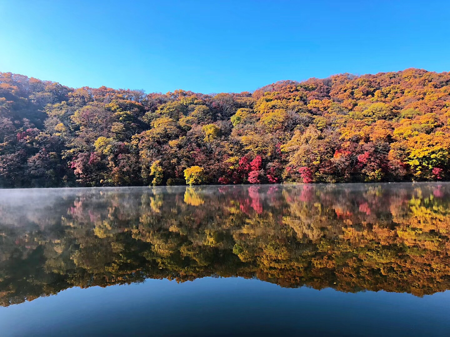 宽甸的人口_宽甸至本溪高速规划图