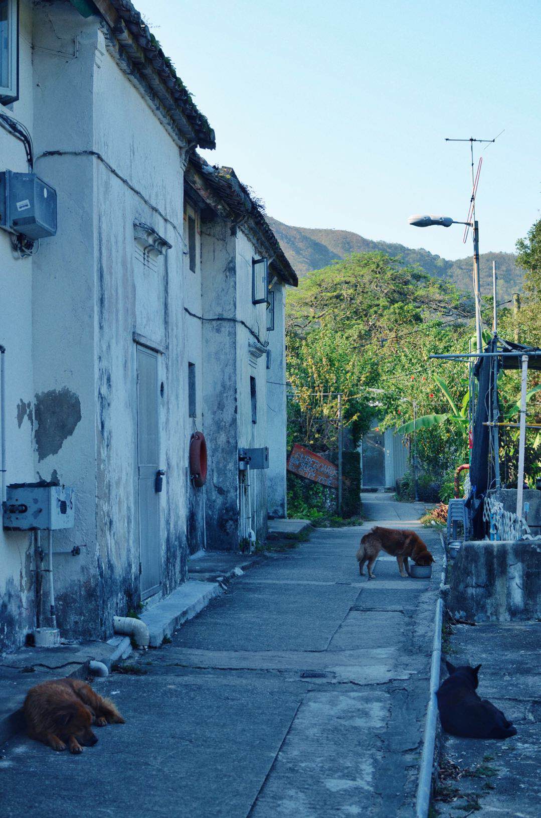 大浪村