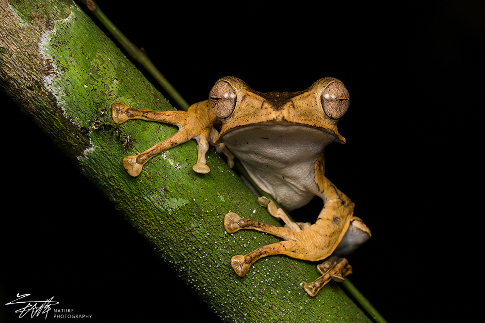 wKgED1wPaOWAc_I5AARU3J3NlQM71.jpeg?imageView2%2F2%2Fw%2F680%2Fq%2F90