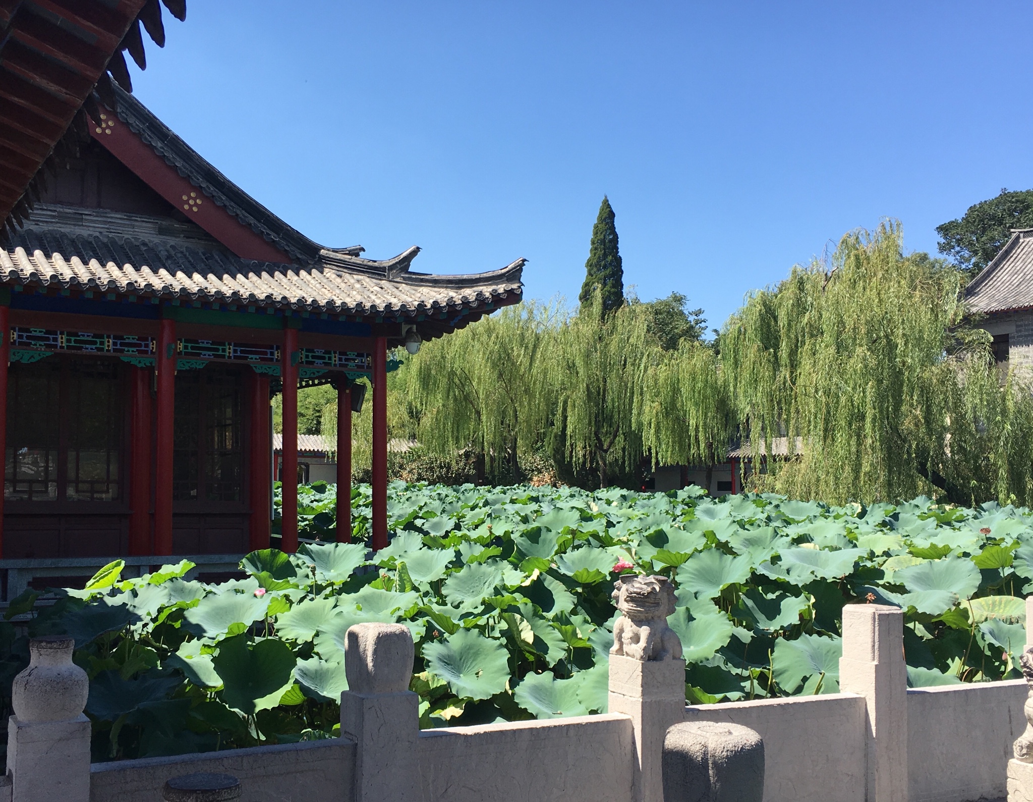 大明湖景区         