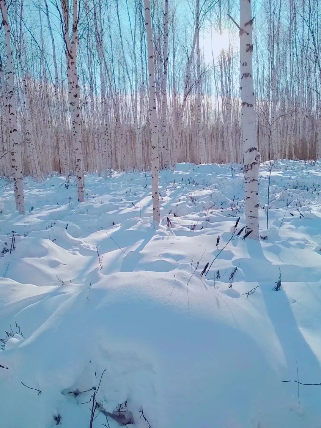 听见下雪的声音——漠河