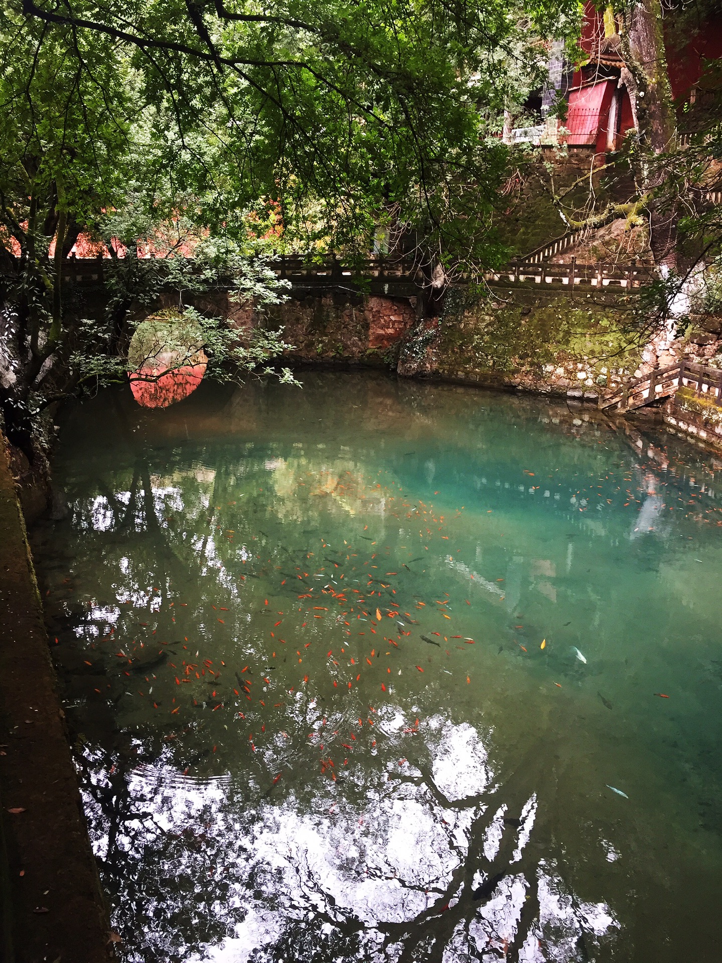 月亮湾湿地,风大,浪也大 禄充波息湾,飞翔吧红嘴鸥 玉溪九龙池,龙潭池