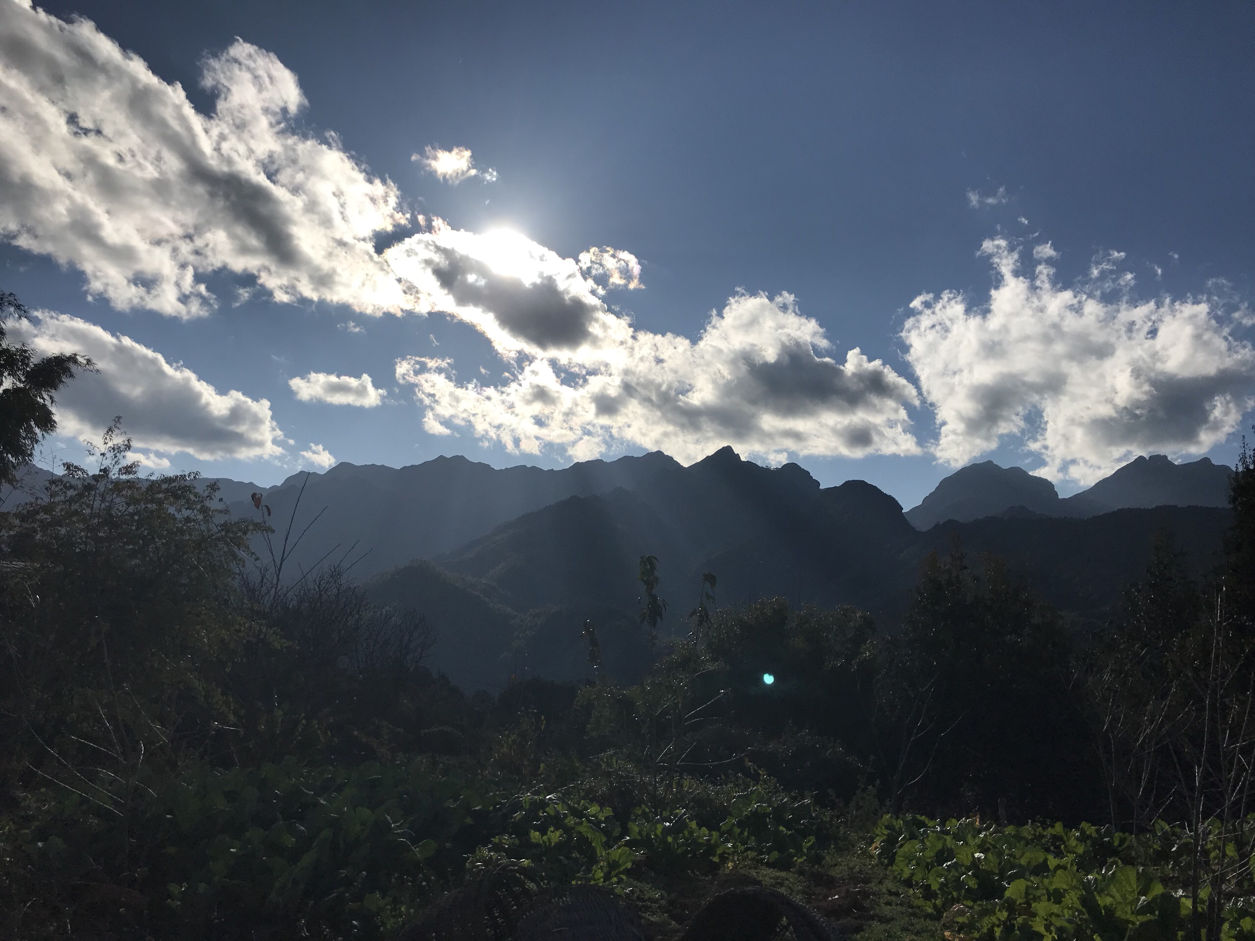 黄草岭