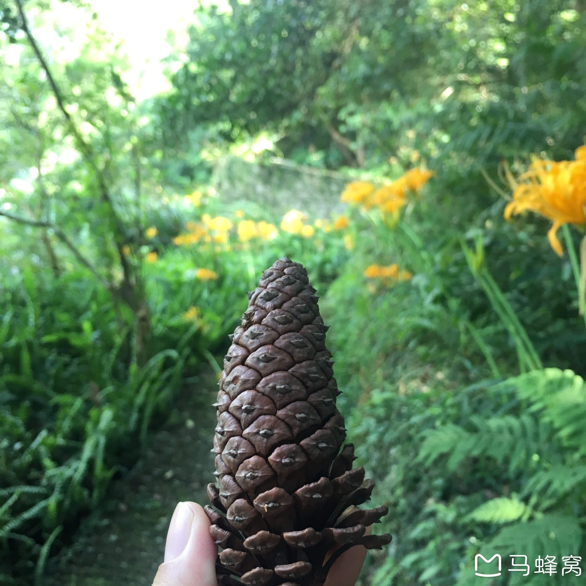 wKgED1ufVISAZ6MbAAr164ia6vI76.jpeg?imageMogr2%2Fthumbnail%2F%21690x370r%2Fgravity%2FCenter%2Fcrop%2F%21690x370%2Fquality%2F100