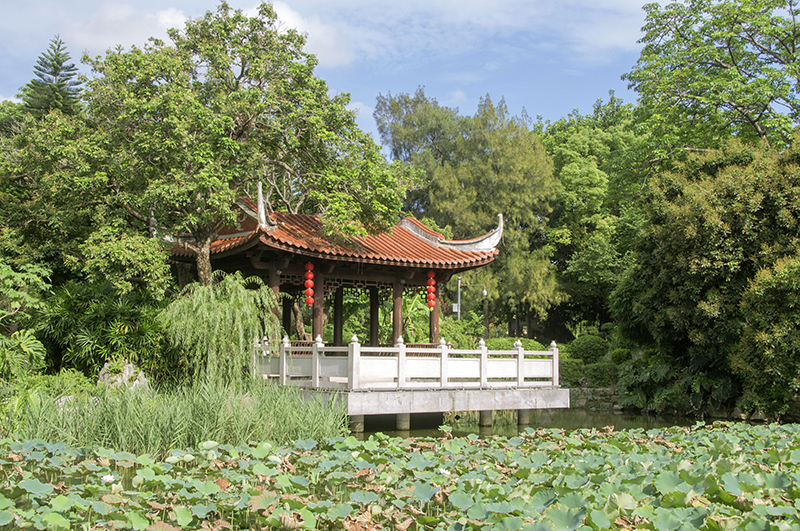             芳草园不算大,逛一圈