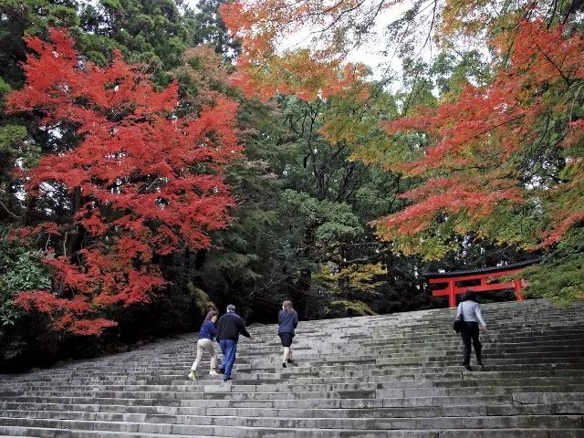 去九州过周末 乘着jr列车追上日本全境的红叶季 马蜂窝