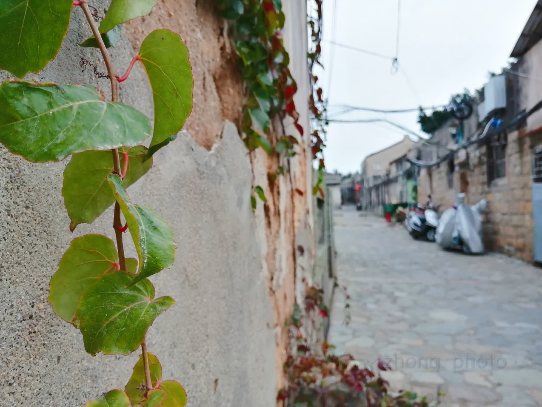 wKgED1xg50aAaM4fAAcvR5a3JJw57.jpeg?imageView2%2F2%2Fw%2F600%2Fh%2F600%2Fq%2F90