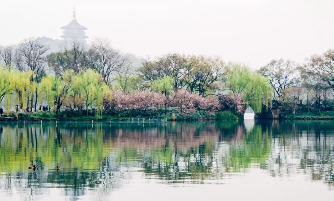 有了这张卡每天只要027元就能环湖赏遍西湖美景