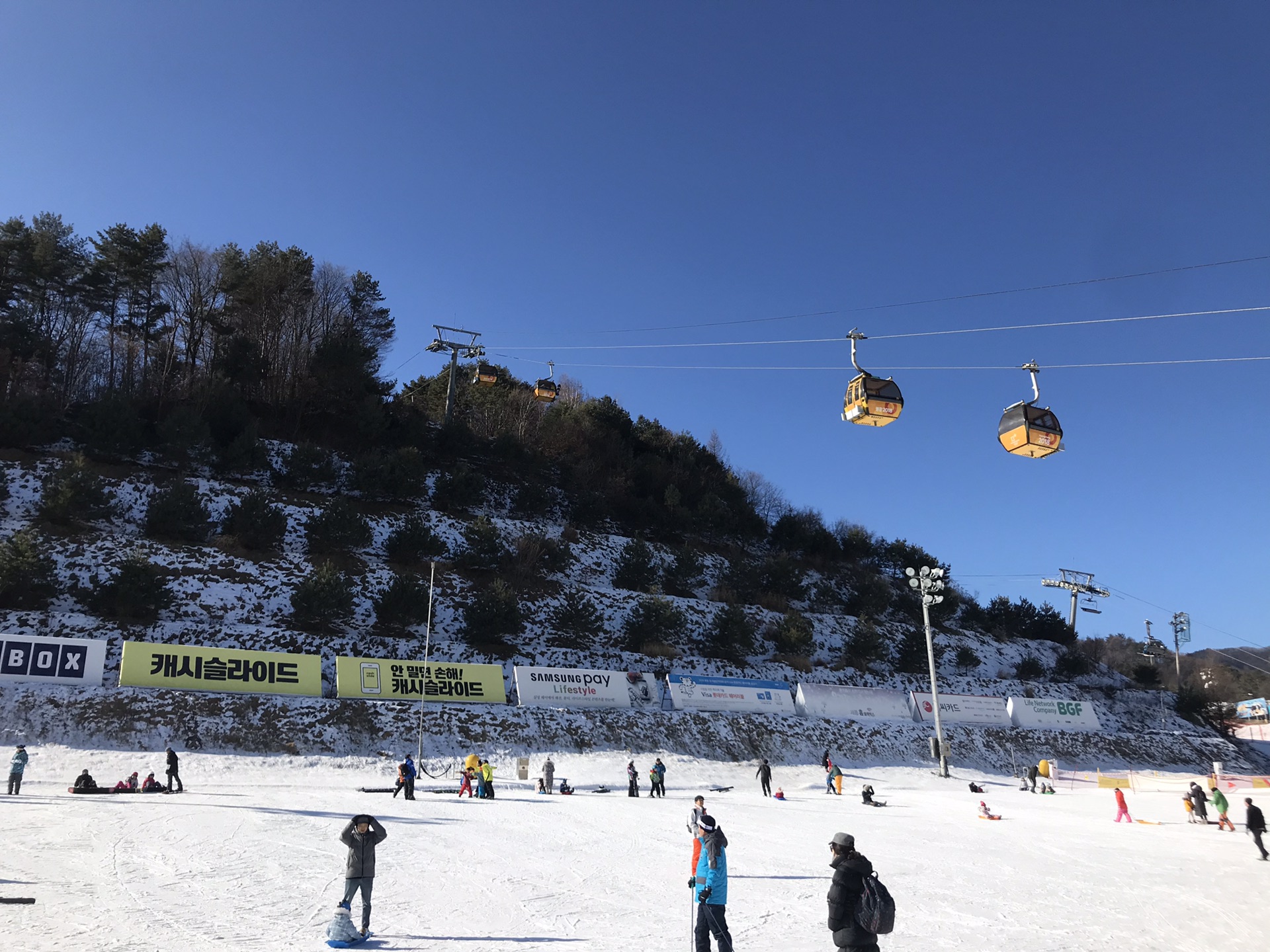 韩国平昌凤凰公园滑雪2019