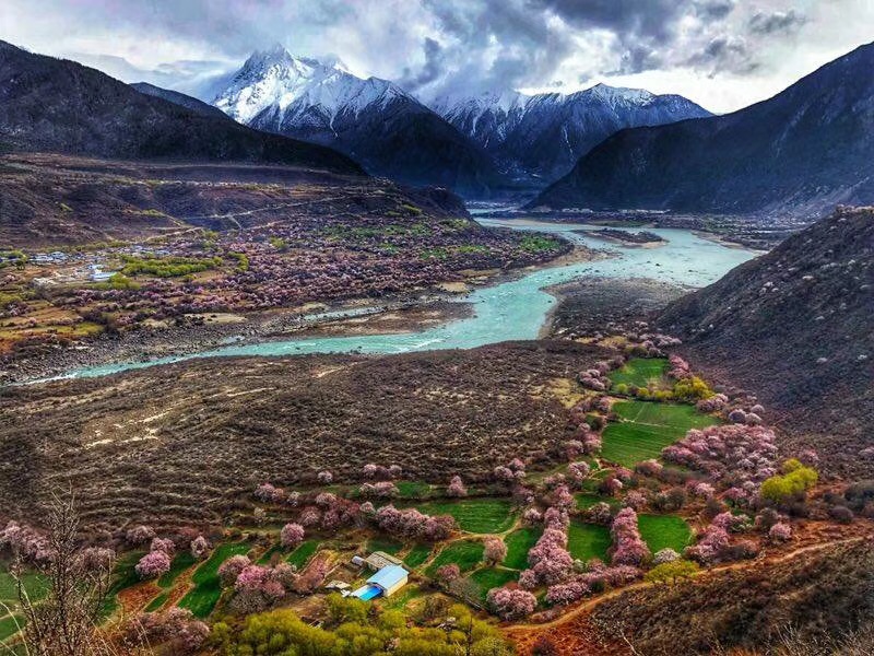 林芝地区          