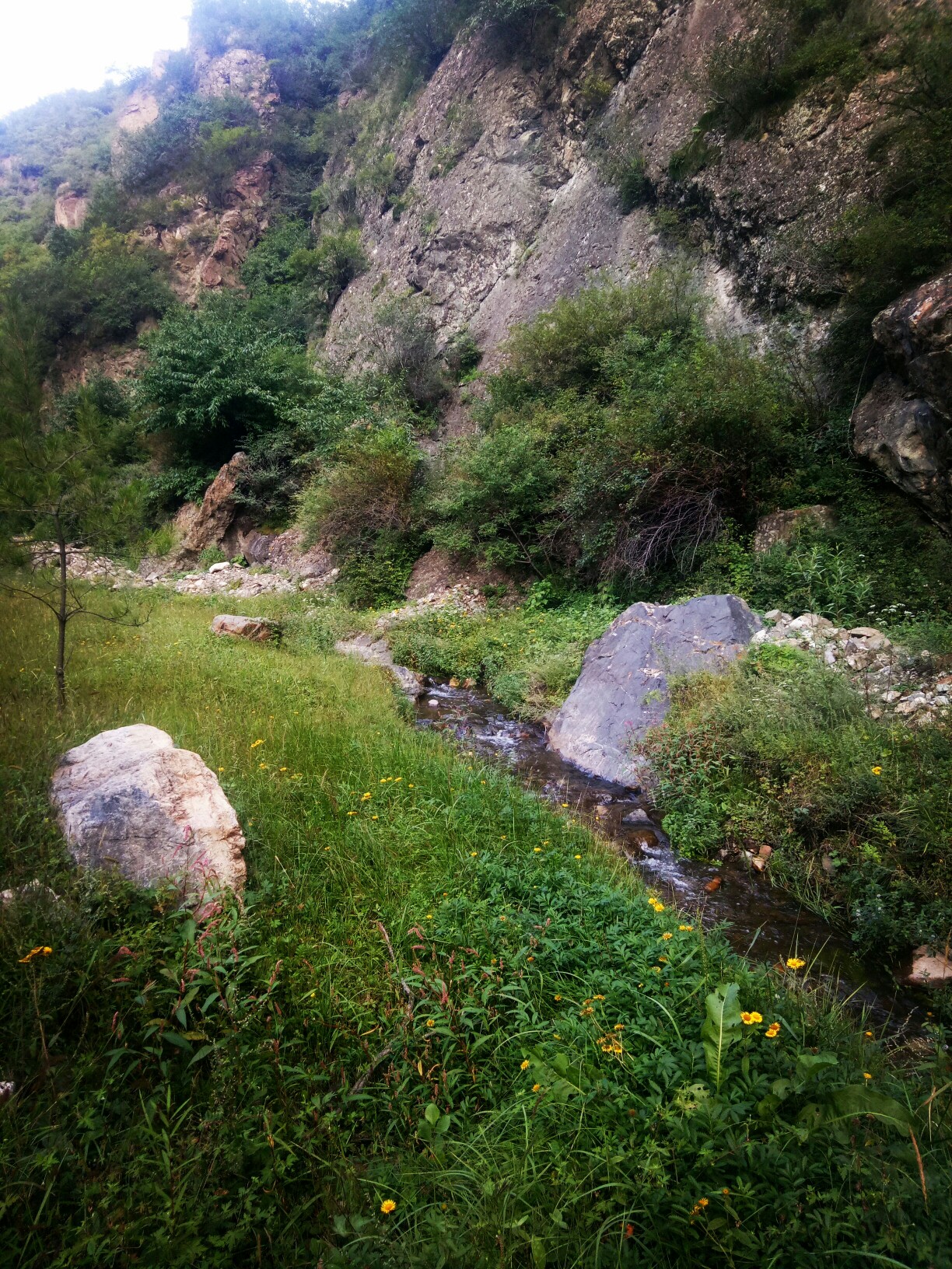 2018-9-4河北怀来水口山林场