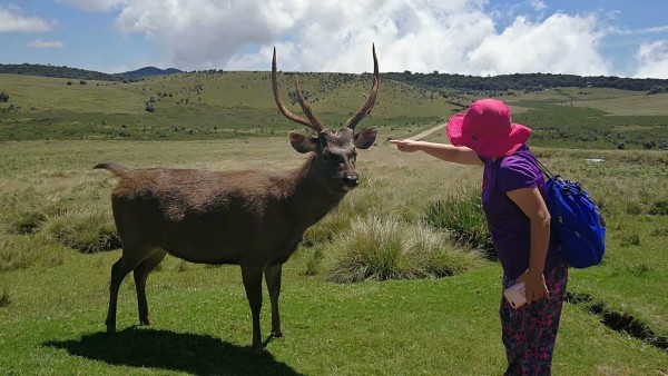 世界上著名的旅行家有谁 wKgED1wJ4mmABr00AA5F6aI_mEQ75.jpeg?imageView2%2F2%2Fw%2F600%2Fh%2F600%2Fq%2F90