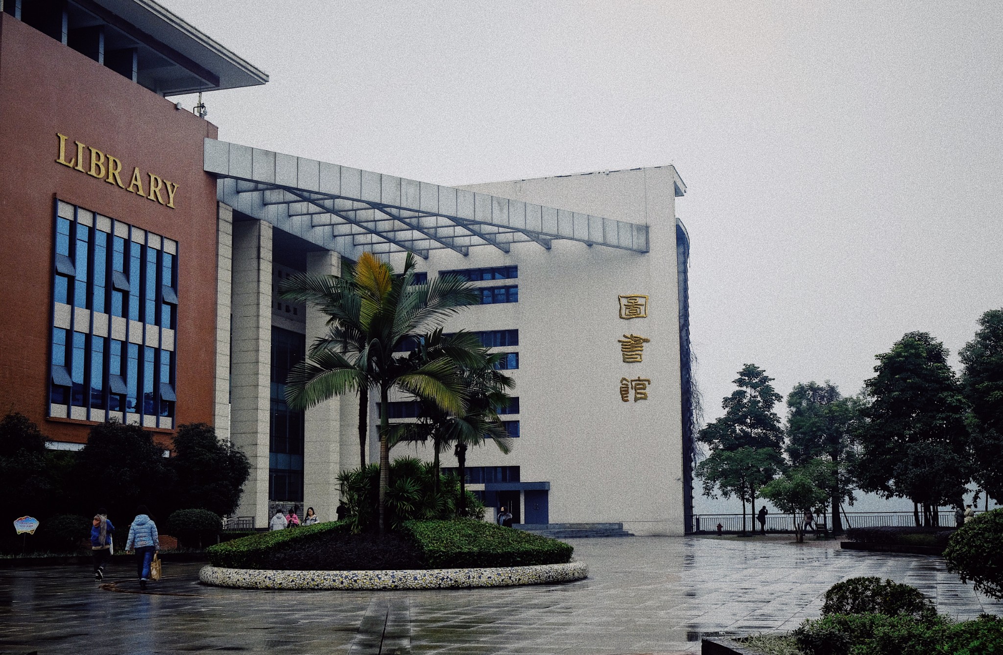 四川外国语大学        