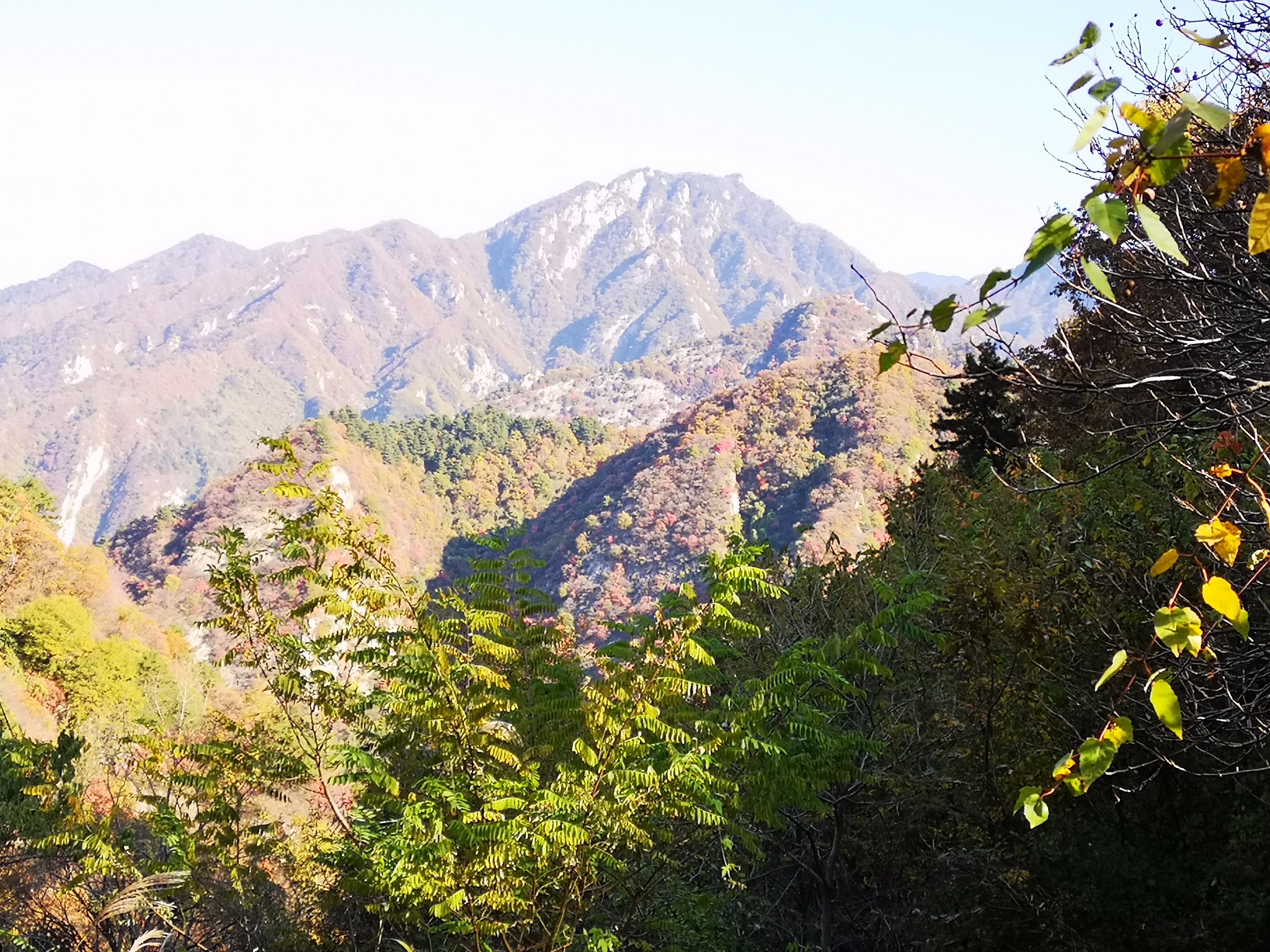 西岔沟上山眺望南五台图片143,秦岭旅游景点,风景名胜 马蜂窝图库