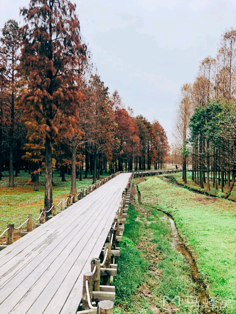 青浦景点介绍,青浦旅游景点,青浦景点推荐 - 马蜂窝