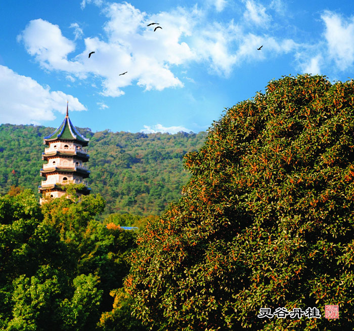 南京钟山风景区 明孝陵 音乐台 灵谷寺 美龄宫门票