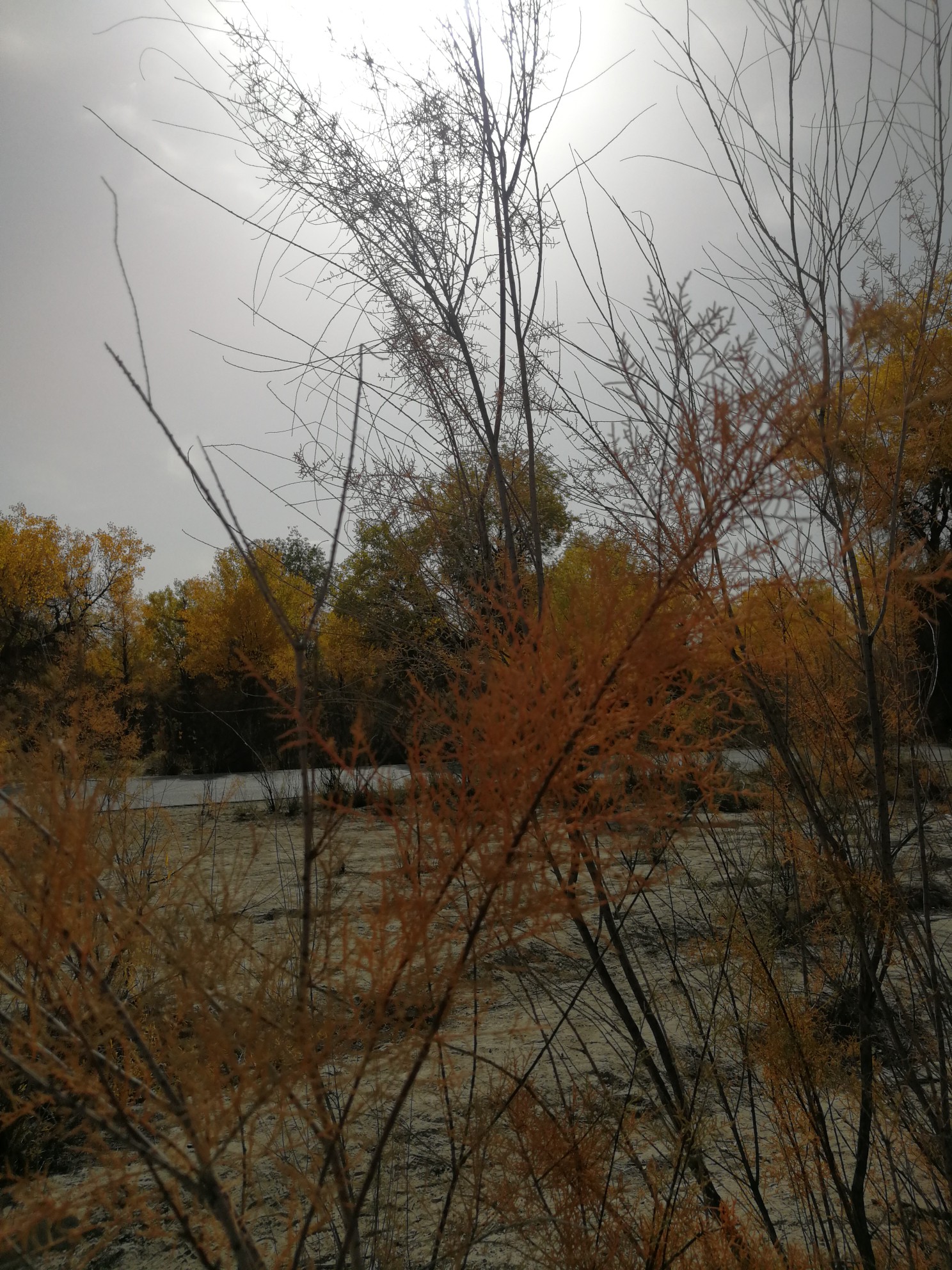 wKgED1vMbwqAc6-EAA1E_haePuU13.jpeg?imageView2%2F2%2Fw%2F600%2Fh%2F600%2Fq%2F90