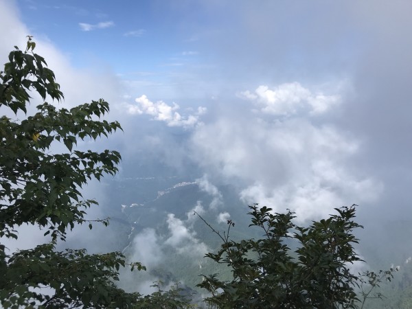 一人天上走打一字,一人天上走打一字正确答案