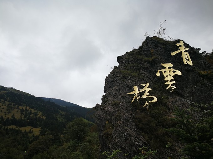 神农架 自由行攻略                       在神农顶的大景区,一路上