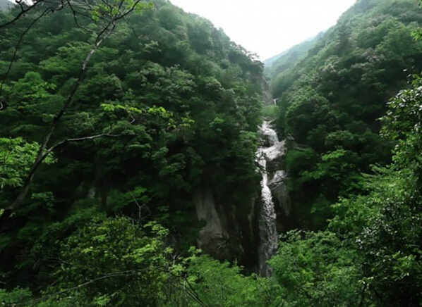 安徽安庆岳西明堂山景区门票(含往返景交票 换票便捷