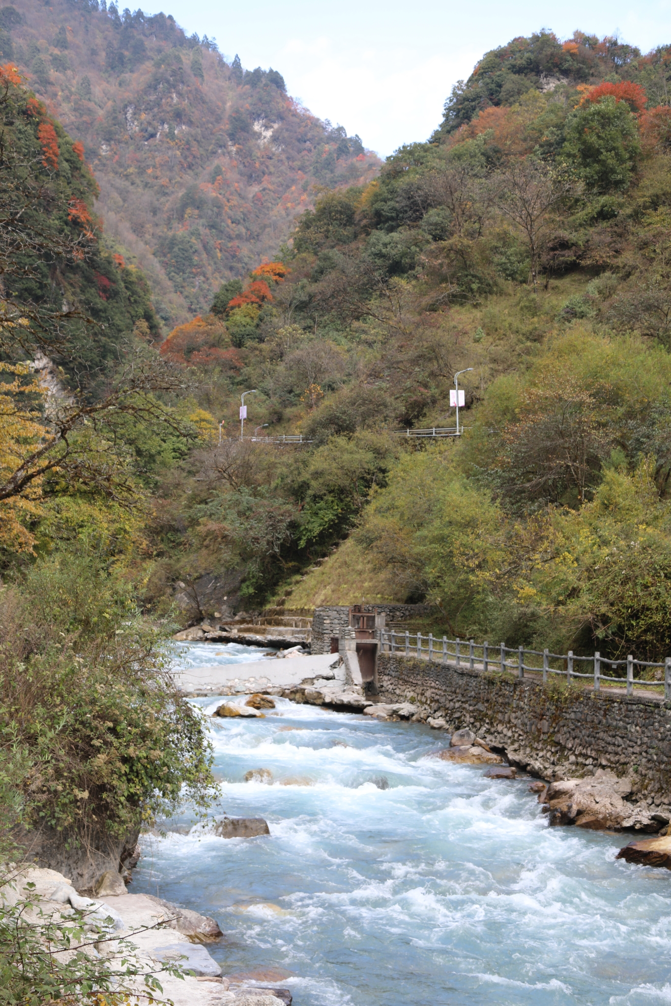 2018 10月 雅安天全喇叭河 红叶之旅