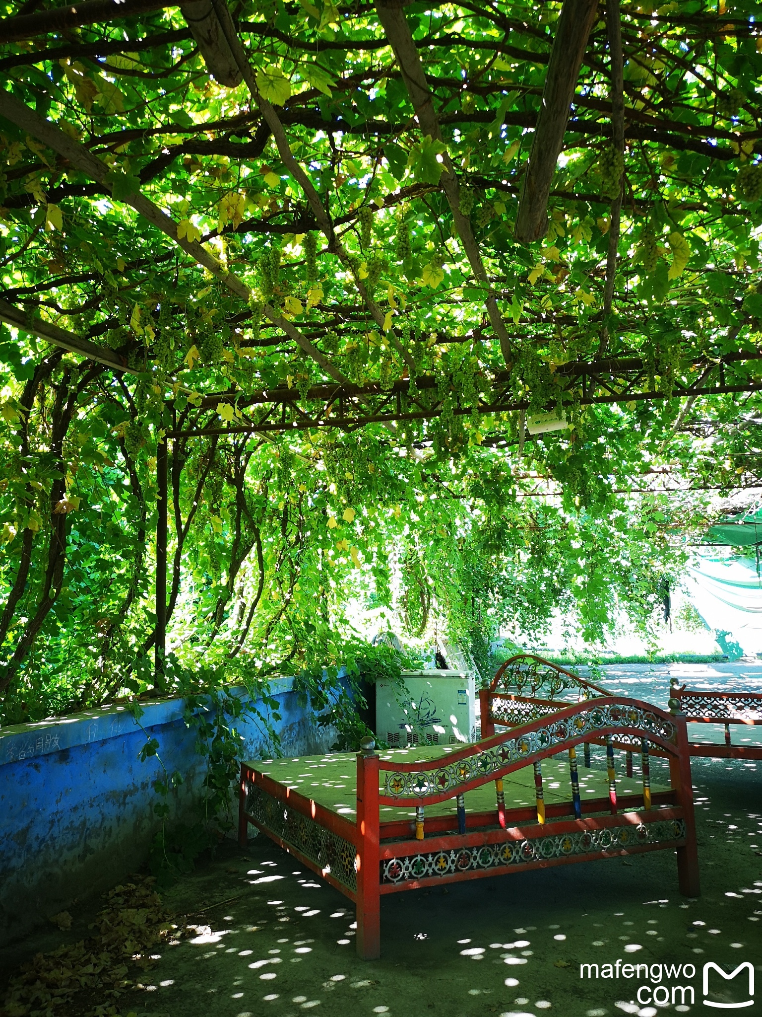 吐鲁番葡萄沟风景区      