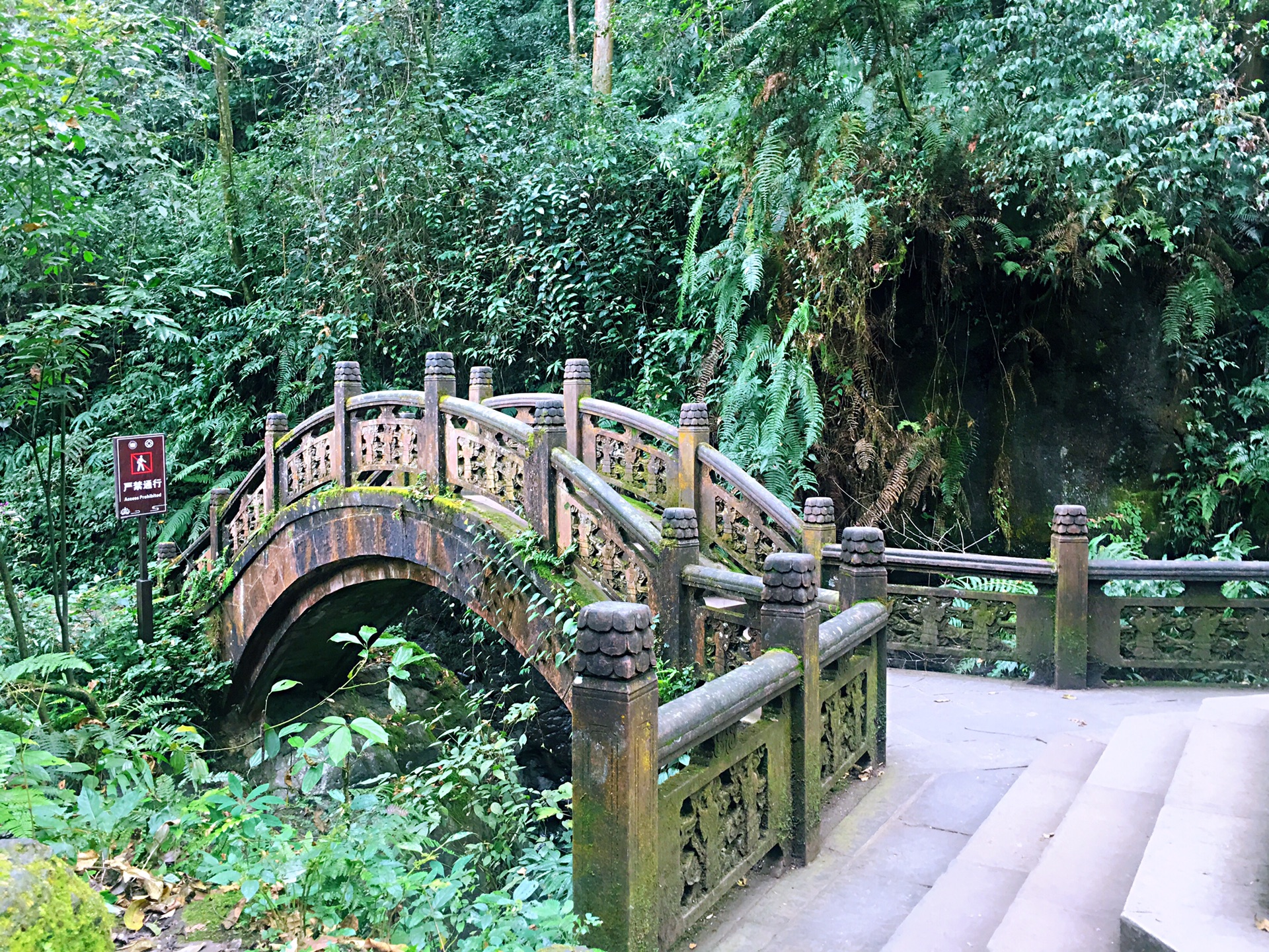 峨眉山游记图片