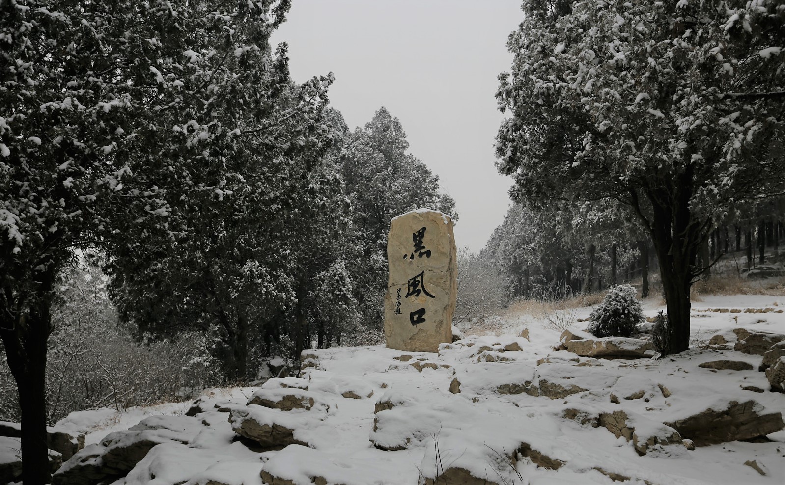             雪里的黑风口