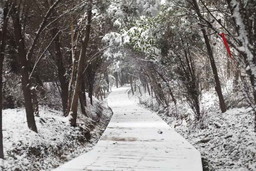 芒山镇人口_芒山镇旅游景点大全(3)