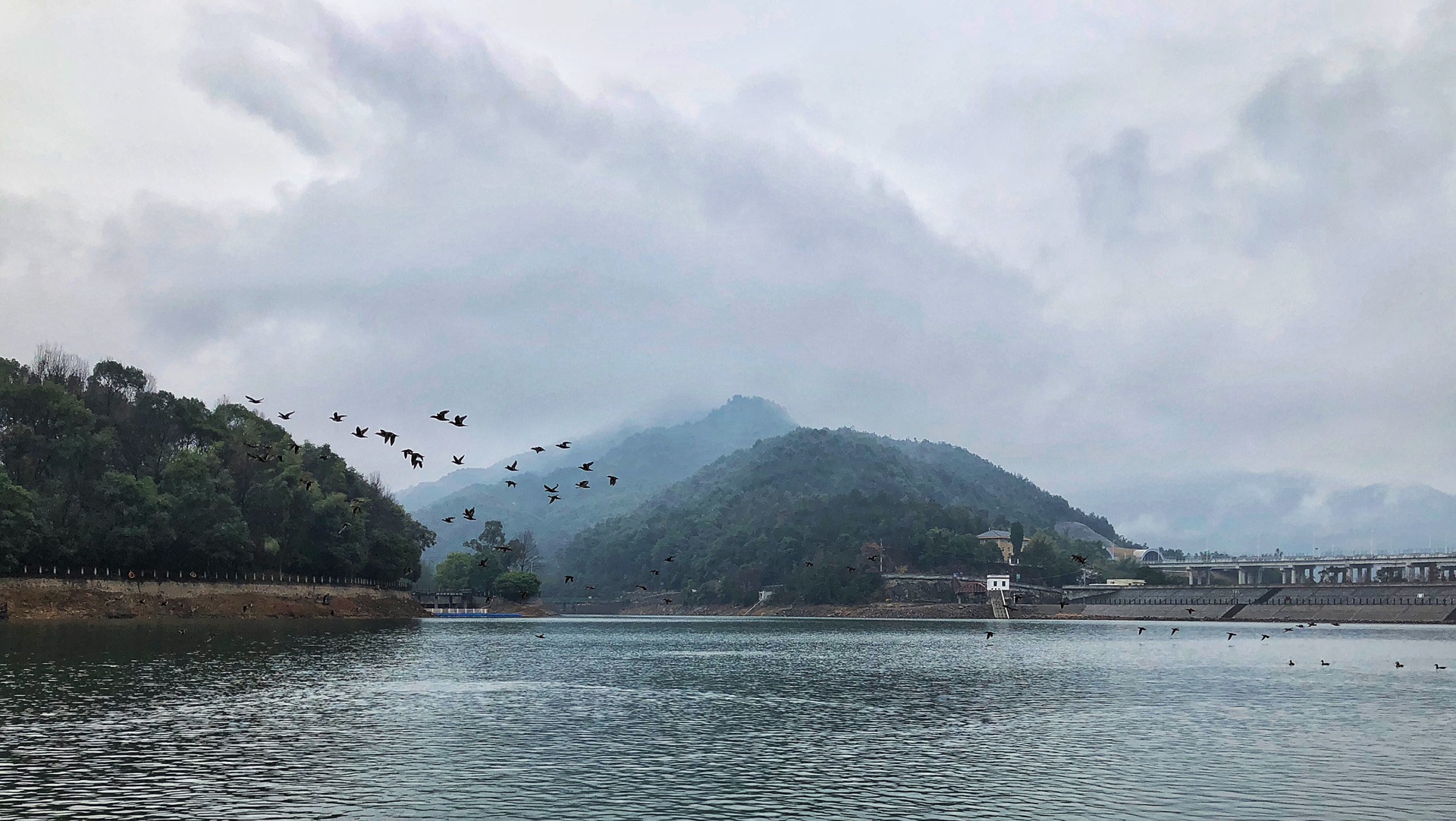 瑞安景点介绍,瑞安旅游景点,瑞安景点推荐 - 马蜂窝