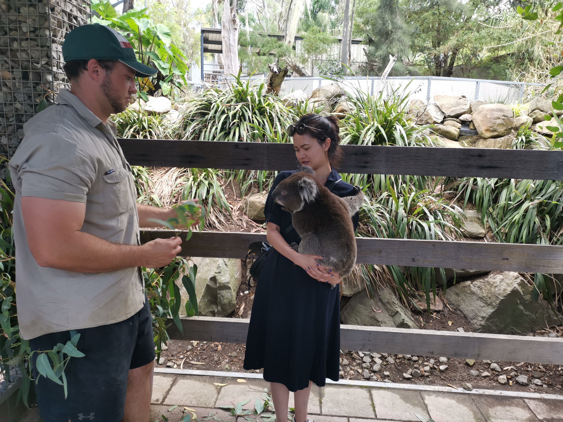 走遍澳大利亚 之 南澳 ︱逃到阿德莱德去避暑_游记