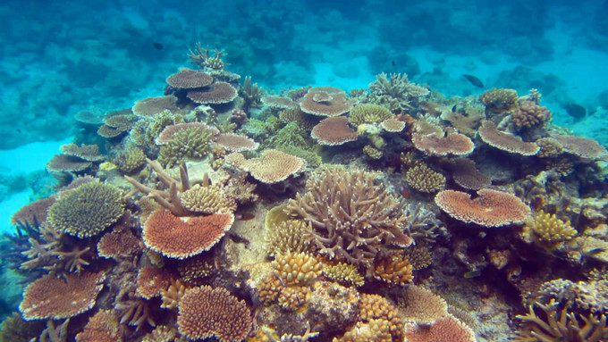 西沙群岛几月去风浪小天气好