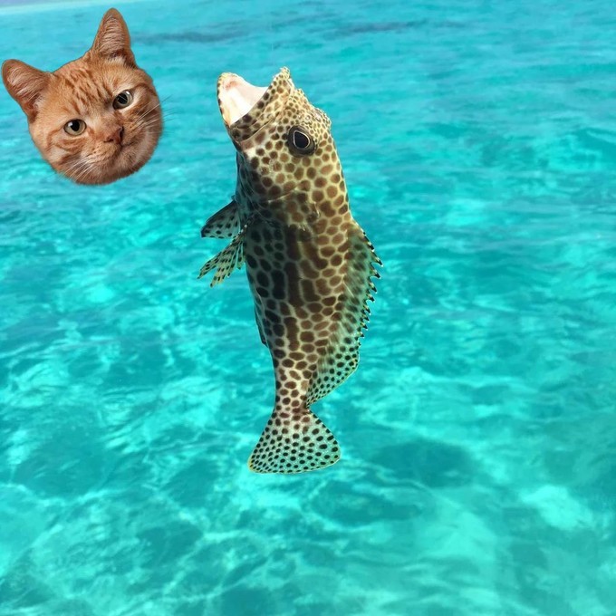 西沙群岛几月去风浪小天气好