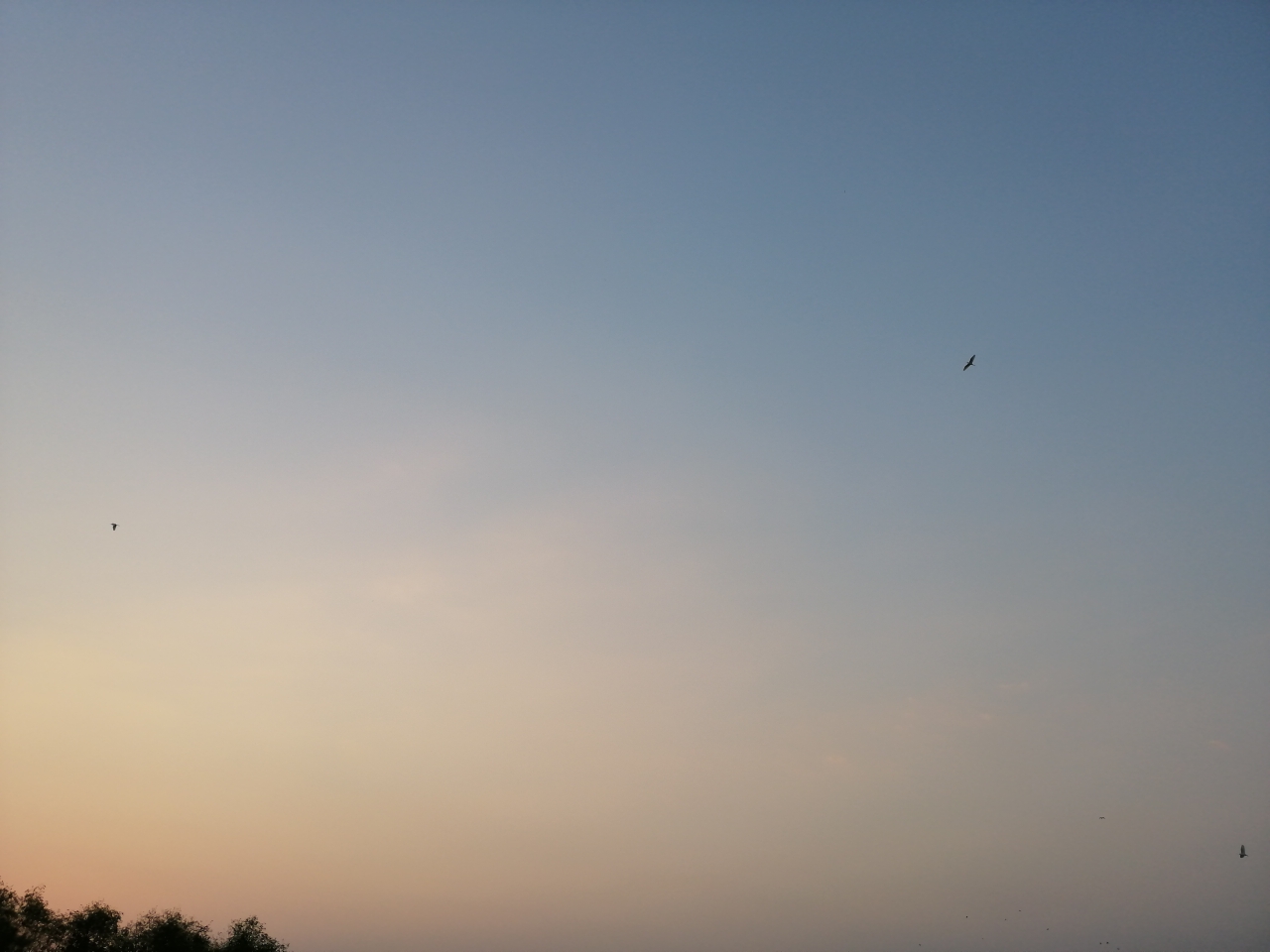 wKgED1u3KlaAGx4zAAW8stZ-3R433.jpeg?imageView2%2F2%2Fw%2F600%2Fh%2F600%2Fq%2F90