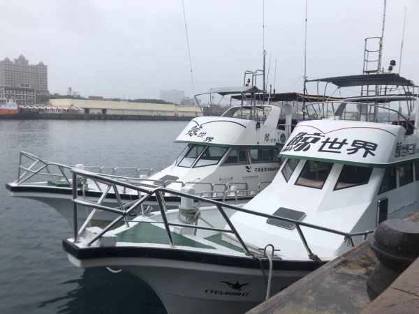 鲸鱼的视频讲解 wKgED1vJoL2AW-S9AAebrjwlog450.jpeg?imageView2%2F2%2Fw%2F600%2Fh%2F600%2Fq%2F90