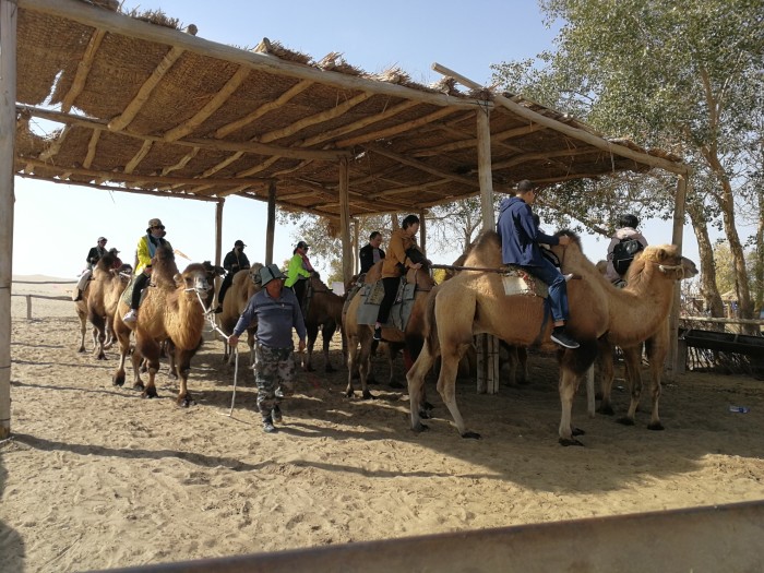 南疆什么時間去最適合