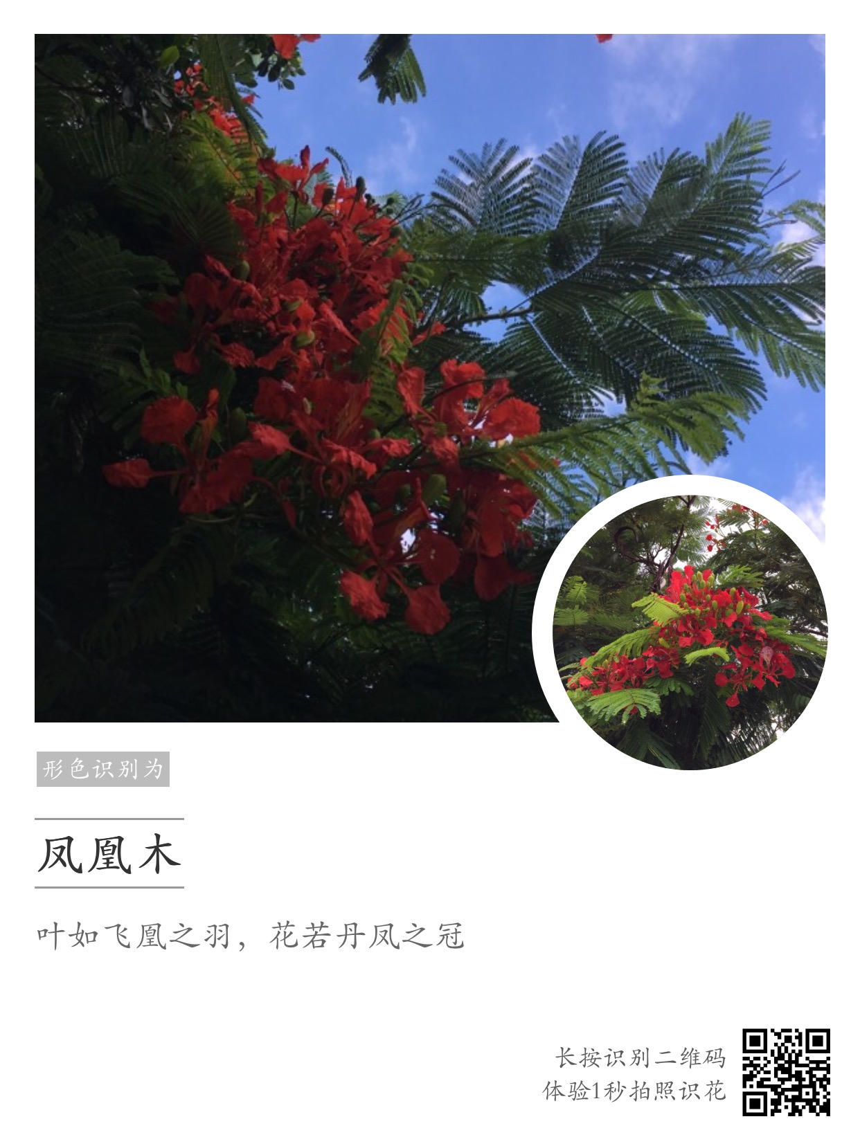 wKgED1v6tgeAOAY6AATxin7q4X411.jpeg?imageView2%2F2%2Fw%2F600%2Fh%2F600%2Fq%2F90
