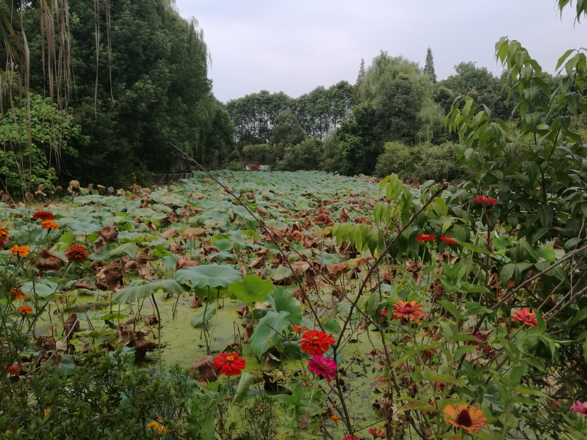 花小溪猜成语_小溪简笔画(2)