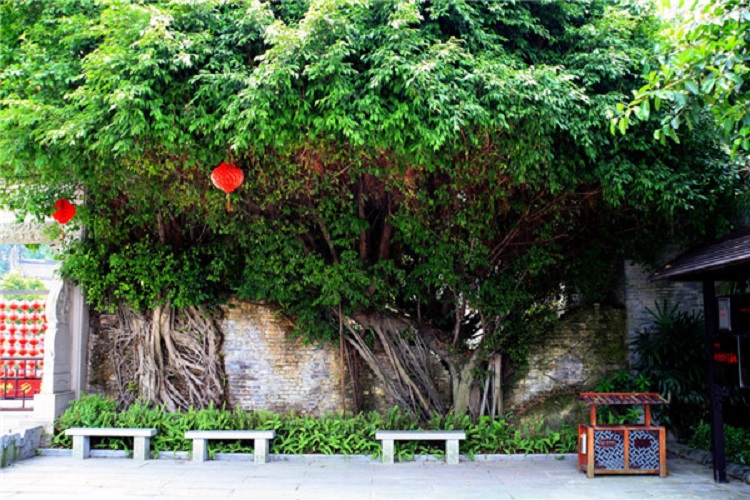 广东清远故乡里主题公园门票(岭南特色文化村)