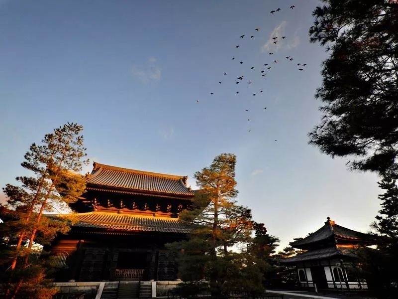 去日本还可以这样住不贵又有特色的佛系住法