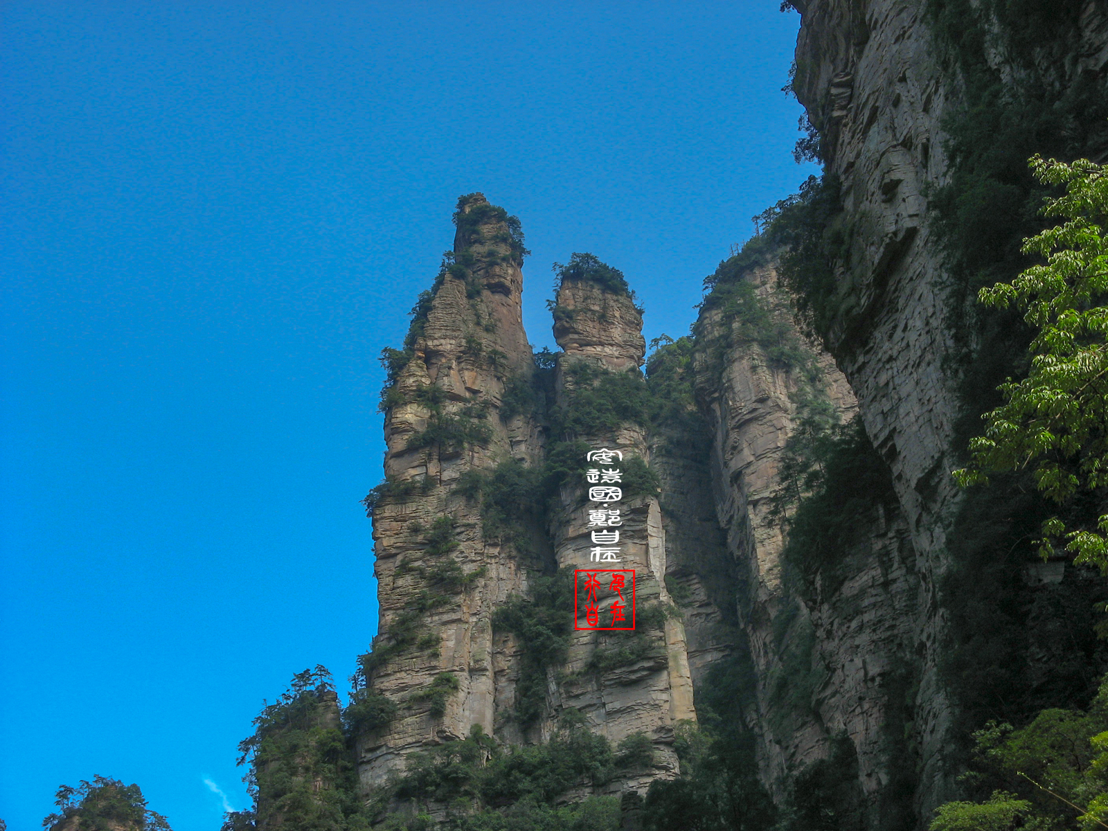 张家界,天门山全景,自驾,自助路线食宿门票硬核分享